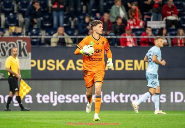 问鼎娱乐官网-佛罗伦萨足球俱乐部在意甲的表现及历史