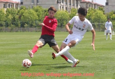 问鼎娱乐官网-NBA玫瑰是谁，球员分析与生涯回顾