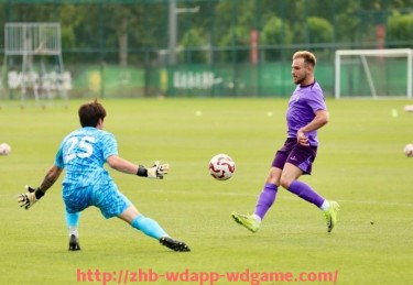 问鼎娱乐官网-德甲球队欧战积分排名及历年表现对比